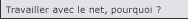 Travailler avec le net...